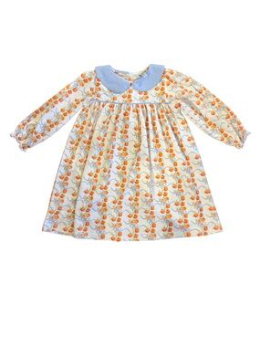 🍂Magnolia Steel Girls Pumpkin Dress 4T Fall Peter Pan Collar 🎃💙